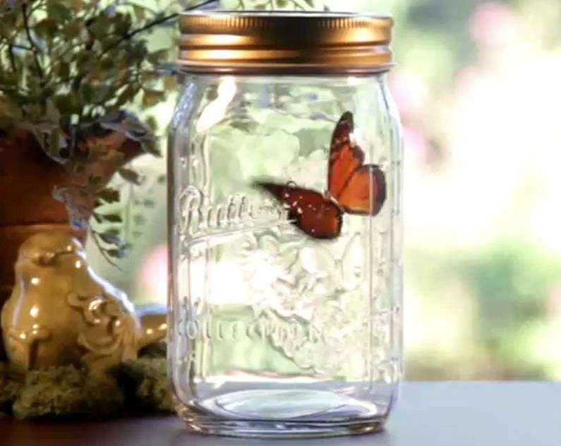 Fliegender Schmetterling im Glas