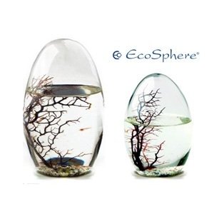 EcoSphere – Miniaquarium aus der NASA Weltraumforschung