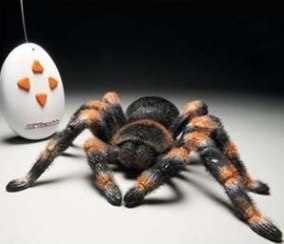 Tarantula – Ferngesteuerte Vogelspinne